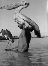 Black And White Birds In Georgia A Mohana Man Descendants Of The Founders Of The City Of Mohenjo Daro Pakistan With Birds C Ga Black White Photography Black White Photography
