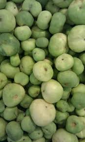 / ˈ j ɒ ɡ ər t /; Tinda Wikipedia