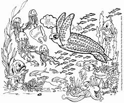 Shark Ocean Animals Coloring Pages Page 1 Line 17qq Com
