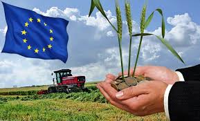 Mai mulţi bani pentru românia. Madr Fonduri Europene De Peste 445 Milioane Euro Disponibile In Primul Trimestru Din 2019 Prin Pndr 2014 2020 Ceccar Business Magazine