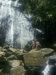 Hotels near la coca falls. La Coca Falls El Yunque Picture Of Natural Wonders Puerto Rico Tripadvisor