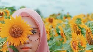 Free mp3 download ▶ bunga matahari download lagu bunga matahari dan streaming kumpulan lagu bunga matahari mp3 terbaru gratis dan mudah dinikmati. Taman Dewari Kebun Bunga Matahari Yang Lagi Hits Di Magelang Cocok Buat Liburan Akhir Pekan