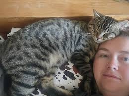 Lost cat in Simla, Colorado?