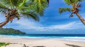 Quelle saison choisir, que voir et que faire, quel budget prévoir la meilleure période pour découvrir les seychelles est l'été, de juin à septembre. Les 15 Plus Belles Plages Des Seychelles Costa Croisieres