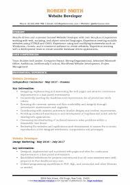 website developer resume samples