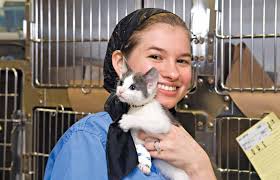 Working Together to Save Animals' Lives