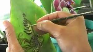 Maybe you would like to learn more about one of these? Itje Perempuan Yang Hobi Melukis Di Atas Daun Tanaman Hias News Liputan6 Com