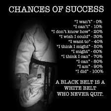 It Took Me Over 4 Years To Achieve The Rank Of 1st Dan Black Belt In Kickboxing It Took A Lot Of Dedication A Taekwondo Quotes Karate Quotes Black Belt Quote