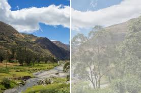 Cataracts vs. Glaucoma: What's the ...