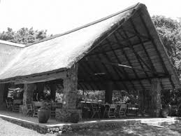 Image result for Kyllingiella microcephala