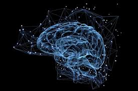 He has a phd from eth in zurich, switzerland, and did a postdoc at stanford university. Our Entire World Will Be Driven By Ai In 2050 An Interview With Marcel Salathe Societybyte