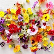 Jul 24, 2020 · just as the summer garden gets in full swing, it's time to start thinking about fall. Edible Flowers Understanding The Effect Of Genotype Preharvest And Postharvest On Quality Safety And Consumption Frontiers Research Topic