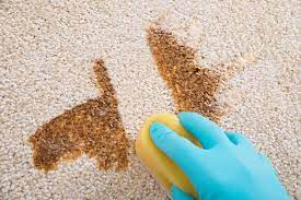Check spelling or type a new query. How To Remove Coffee Stains From Carpet In Simple And Easy Ways