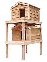 Check spelling or type a new query. Cozycatfurniture Outdoor Cat House Two Story For Multiple Cats Waterproof Shelter Raised Platform Cedar Construction Thermal Ply Insulation Buy Online In Fiji At Fiji Desertcart Com Productid 15845027