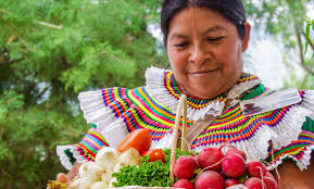 Exhortarán a creación de empresas en pueblos originarios de SLP