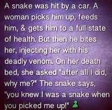 Quotes Disrespect Don T Bite The Hand That Feeds You Pin On Life