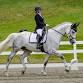 June Dressage Shows