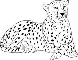 25022018 bilder aus den zoos auf der ganzen welt. Ausmalbild Gepard Im Zoo Ausmalbilder Tiere Niedliche Zeichnungen Ausmalen