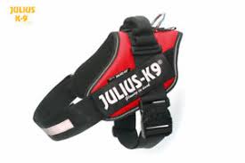 Details About Julius K9 Idc Powerharness Dog Harness Red All Sizes