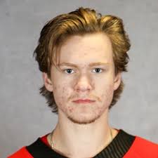 2025 Springfield Thunderbirds vs Charlotte Checkers