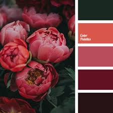 You can pick from the selection of colors that suit the. Red Color Color Palette Ideas