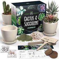 Succulents are a broader group referring to a type of plant included in several botanical families. Amazon Com Succulent Cactus Seed Kit For Planting Enthusiasts Favorites Cactus Succulent Starter Kit Premium Pack 4 Planters Drip Trays Markers Seeds Mix Soil Diy Gift