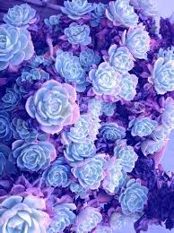Pin By Tae Taehyung On Background Flower Wallpaper Cute Wallpapers Download Cute Wallpapers