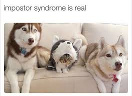 Impostor Syndrome Funny Animal Pictures Funny Animals Cute Animals