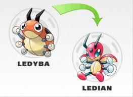 Images Of Ledyba Evolution Chart Industrious Info