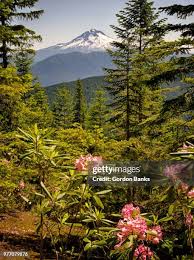 180 Gordon Ridge Stock Photos, High-Res Pictures, and Images