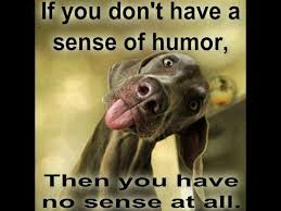 Quotes About Bad Sense Of Humor 25 Quotes