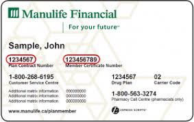Printable green shield medical devices claim form. Ohip Insurance