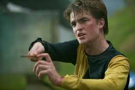 Harry Potter Cedric Diggory Carlo Kannewasser Harry Potter Characters Harry Potter Goblet Cedric Diggory