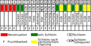 Er wird flüssiger, durchsichtig und erinnert an rohes eiweiß. Mit Billingsmethode Schwanger Werden
