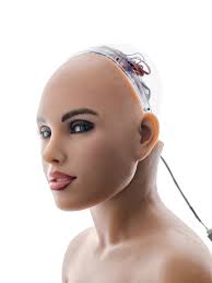 Les robots sont arrivés. Faut-il en avoir peur ?