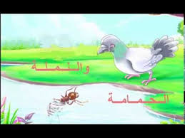 الحمامة و النملة سخرية الحمامة كانت سوف تفقد حياتها bird animals youtube