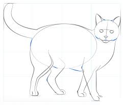 En este video te enseño como dibujar un gato de forma realista, te lo explico de una manera muy facil que estoy seguro que podras dominarlo rapidamente! Como Dibujar Un Gato Realista Tutoriales De Dibujo Paso A Paso Colorear Ninos Imprimir
