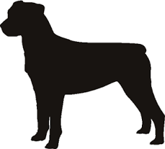 pin on best breed ever