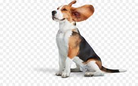 Dog Cartoon This package includes the following vector images: dog cartoon