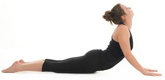 Pin On Exercise