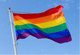 Wij leveren de regenboogvlag in onderstaande uitvoering. Sgp Altena Niet Blij Met Regenboogvlag Woudrichem Net