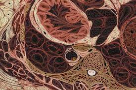 Lisa nilsson's first exhibition was 99¢ & up: Creators Lisa Nilsson Art The Science Blog