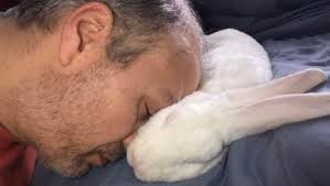 Fundraiser by Jessica Boudreault : SAUVONS ORION