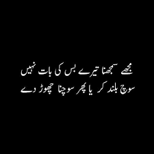 Mujhe Samajhna Teri Bas Ki Baat Nahin Soch Buland Kar Ya Pr Sochna Hi Chor Dy Poetry Quotes In Urdu Urdu Love Words Urdu Words
