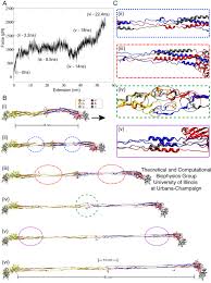 Image result for Fibrinogen
