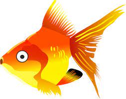 We did not find results for: Kartun Ikan Mas Gambar Vektor Gratis Di Pixabay