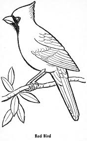 10 Images Of Cardinal Coloring Pages Coloring Pages Bird Outline Bird Drawings Bird Template