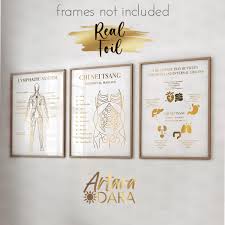 Image result for Arthraerua