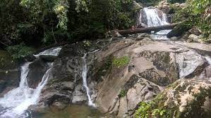 Is now about two months since we there are three beautiful waterfalls where you can swim, especially number 7 is a really relaxing spot, overall the park is worth it even without rafflesia. Gunung Gading National Park Lundu 2021 All You Need To Know Before You Go Tours Tickets With Photos Tripadvisor