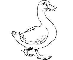Coloring books for boys and girls of all ages. Coloring Pages Of A Duck Animal Coloring Pages Duck Coloring Pages Duck Coloring